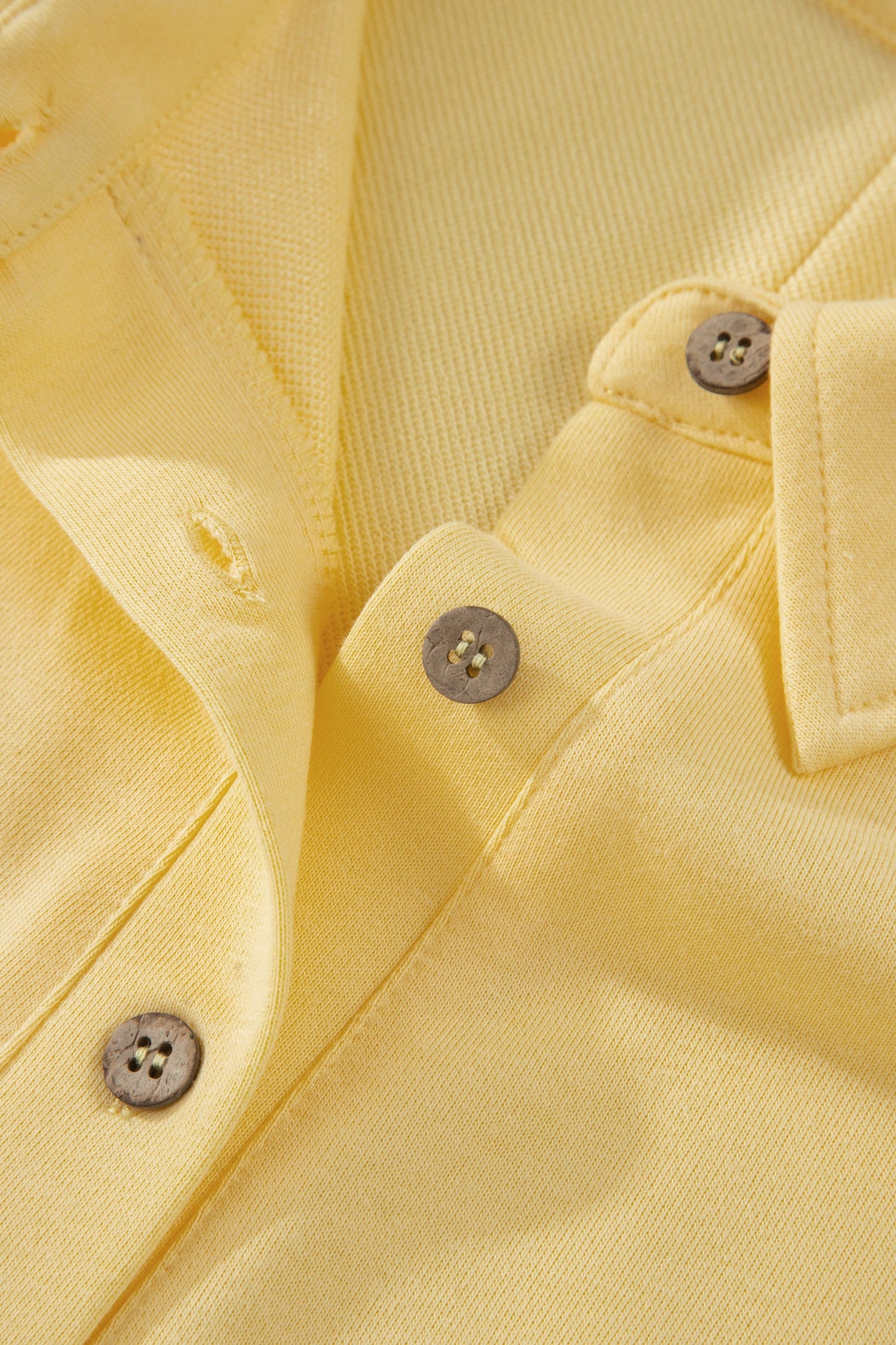 Plus Solid Polo & Shorts Set
